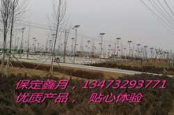 怎樣進(jìn)行太陽(yáng)能路燈系統(tǒng)設(shè)計(jì)-怎樣選購(gòu)太陽(yáng)能路燈---太陽(yáng)能光板選購(gòu)案例